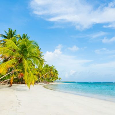 Palm_Island_Beach_original_758870 (1)